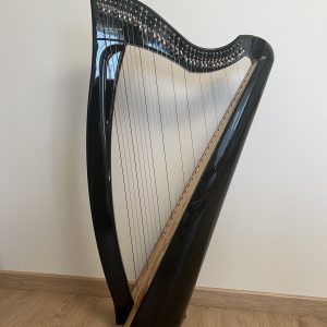 Cанкт-Петербург -  34 струны Resonance harps  072 RHC34H black