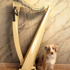 34 струны, Rezonance harps, Колибри 0551